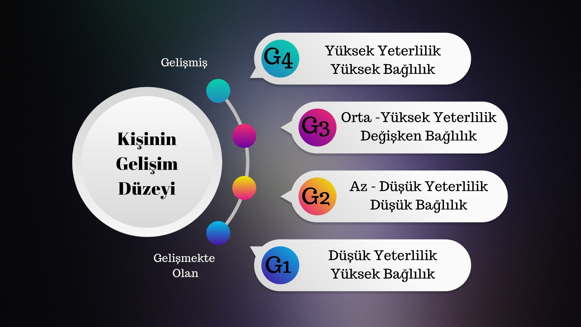 Gelişim Düzeyleri